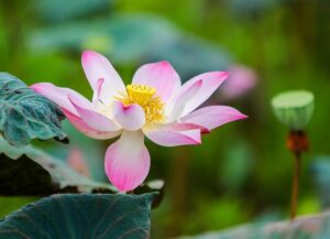 Gf0eaff24fa0a5ecbfd47c113a66374793bb1ceca92affa1f85988a05de67d1e8830065afcadf7d3852f05102b5d20409a536c1fa68a8f660f9a040fe6773c1d0 640