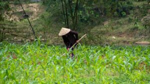 Gf24b141c2c32dd5edfa1840b1a26bacef5ca0509fc143e94b2697df59df92ace09cf70b71df2d7ee8b11246d8a94b7460788f24fd2fe18f8177b8fcf5d16017e 640