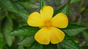 Image tendernapalm.co.uk 869 1745987679109