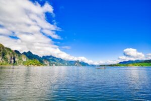 Image tendernapalm.co.uk 1338 1746307915074